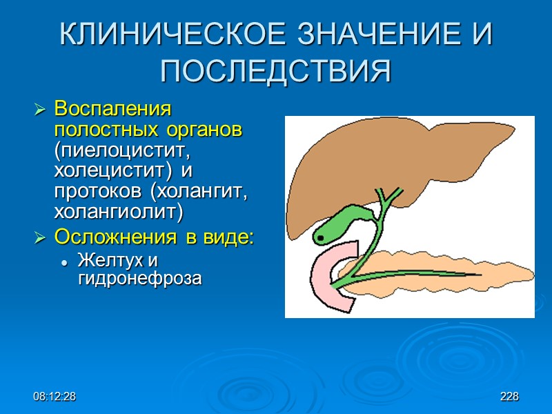 08:12:02 КЛИНИЧЕСКОЕ ЗНАЧЕНИЕ И ПОСЛЕДСТВИЯ Воспаления полостных органов (пиелоцистит, холецистит) и протоков (холангит, холангиолит)